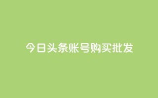 今日头条账号购买批发 - 今日头条账号批发购买指南与建议~