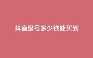 抖音50级号多少钱能买到,抖音9元63钻在哪充值 - 闪电云商城自助下单 - 巨量千川人工客服入口