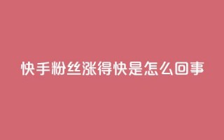 快手粉丝涨得快是怎么回事,快手播放量设置器下载 - 免费快手作品点赞的 - 抖音点赞辅助器破解