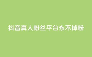 抖音真人粉丝平台 永不掉粉,ks粉丝业务怎么接 - QQ个性赞充值 - 抖音业务1000赞下单