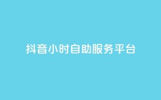 抖音24小时自助服务平台,dy快手业务低价 - dy卡盟网站入口 - 快手一块钱100个微信支付