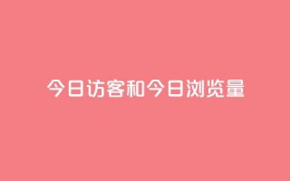 今日访客和今日浏览量,q赞助手最新版下载 - qq绝版名片代码大全 - 抖音下单24小时