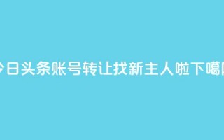 今日头条账号转让：找新主人啦!