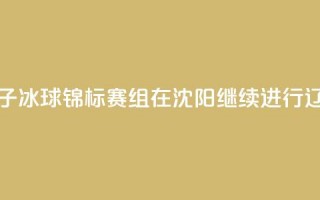 2024年全国青少年U系列女子冰球锦标赛U12组在沈阳继续进行 辽宁队0_1负广东队