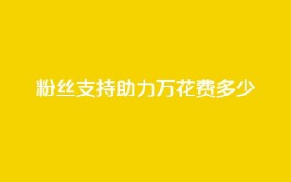 粉丝支持助力 100万，花费多少？