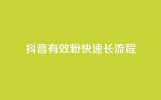 抖音500有效粉快速长流程 - 抖音快速增长500个有效粉丝的完整方法~