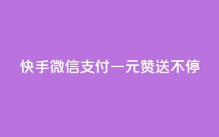 快手微信支付：一元赞送不停