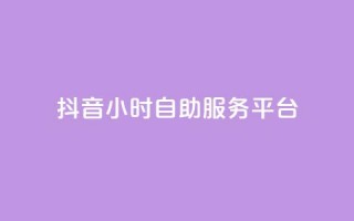 抖音24小时自助服务平台,超专业自助平台 - 抖音付费推广 - dy低价下单平台