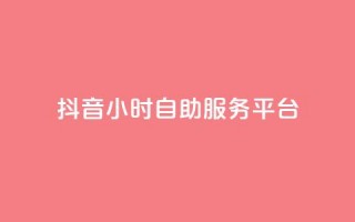 抖音24小时自助服务平台,超专业自助平台 - 抖音付费推广 - dy低价下单平台