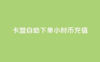 卡盟自助下单24小时q币充值,qq超级会员便宜开通 - 空间秒赞免费下载 - 抖音一元涨粉1000暗号