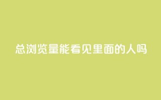 qq总浏览量能看见里面的人吗,qq有十万赞的是什么人 - 拼多多助力软件 - 拼多多哪里找红包助手