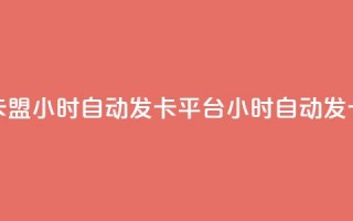 游戏卡盟24小时自动发卡平台(24小时自动发卡平台-游戏卡盟专属)