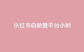 小红书自助赞平台24小时 - 24小时全天候自助赞平台，小红书助力您的SEO优化~