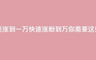 粉丝如何快速涨到一万(快速涨粉到1万，你需要这些技巧)