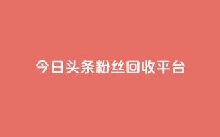 今日头条粉丝回收平台 - 免费业务自助下单网站