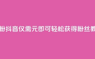 抖音1元刷1000粉 - 抖音仅需1元即可轻松获得1000粉丝教程。