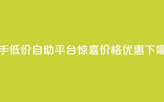 快手低价自助平台惊喜价格优惠