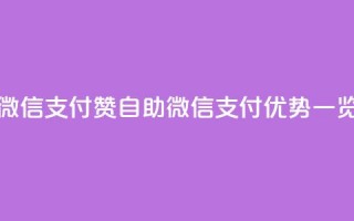 Ks赞自助微信支付 - Ks赞自助微信支付优势一览。