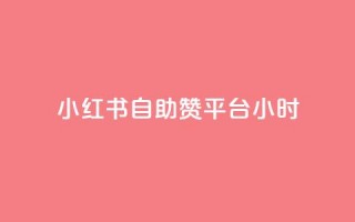 小红书自助赞平台24小时 - 小红书自助赞平台24小时服务!