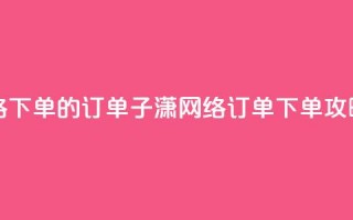 子潇网络下单的订单 - 子潇网络订单下单攻略~