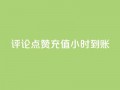 dy评论点赞充值24小时到账,快手流量推广网站 - 卡盟低价自助下单科技 - 子潇网络工作室