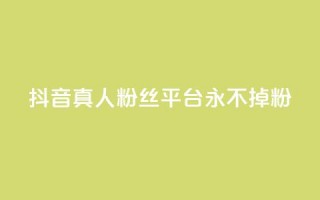 抖音真人粉丝平台 永不掉粉,抖音怎么增加浏览量和粉丝 - 全网最低价qq业务平台登录 - 快手涨1000粉丝网站是多少