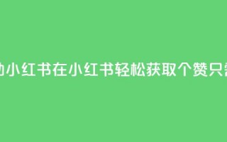 1元100点赞自助小红书 - 在小红书轻松获取100个赞只需1元~