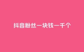 抖音粉丝一块钱一千个 - 抖音粉丝仅需一元获取千人关注秘诀揭秘！