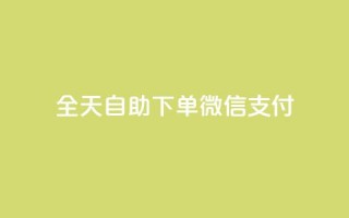 ks全天自助下单微信支付,免费增加qq空间访客量 - qq免费名片像素大作战 - 点赞下单平台自助