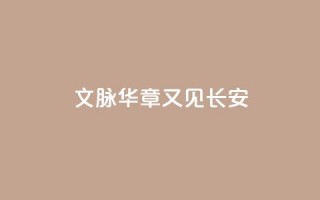 文脉华章｜又见长安