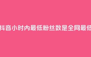 抖音24小时内最低粉丝数是全网最低