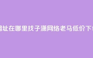 快手点网址在哪里找 - 子潇网络老马低价下单