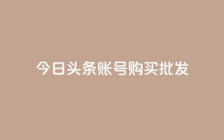 今日头条账号购买批发 - 今日头条账号批发购买指南助您轻松入驻~