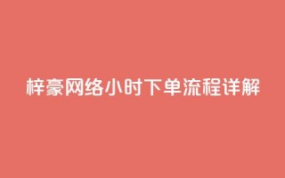 梓豪网络24小时下单流程详解,ks一元自助下单秒到账 - 快手点赞链接入口在哪里 - ks单真人粉丝