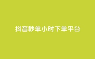 抖音秒单24小时下单平台 - 24小时极速下单平台助你轻松抖音购物！