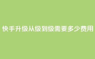 快手升级从1级到45级需要多少费用