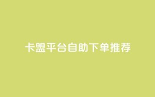 卡盟平台自助下单推荐 - 卡盟平台自助下单攻略与推荐~