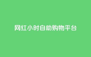 网红24小时自助购物平台 - 24小时网红自助购物平台：随时满足你的购物热情~