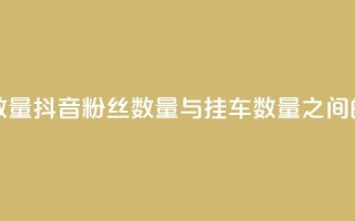 抖音粉丝和挂车数量 - 抖音粉丝数量与挂车数量之间的关系解析。