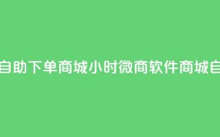 24小时微商软件自助下单商城(24小时微商软件商城自助下单)