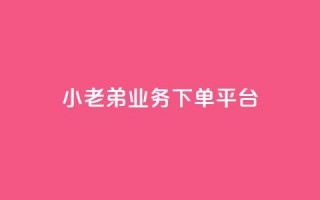 小老弟业务下单平台 - 小老弟，业务下单全新平台，一键轻松下单，方便高效，省时省力！~