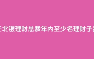 郭振涛获准出任北银理财总裁 年内至少8名理财子董事长、总裁焕新