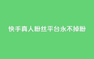 快手真人粉丝平台 永不掉粉,qq云商城24小时自助下单软件 - 快手打call怎么买 - dy业务自助下单软件