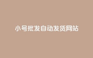 dy小号批发自动发货网站,ks小号发卡平台 - ks业务自助下单软件最低价 - 卡盟交易平台