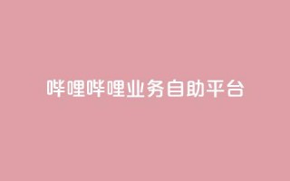 哔哩哔哩业务自助平台 - 哔哩哔哩自助平台：优化您的业务经营!