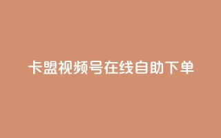 卡盟视频号在线自助下单 - 卡盟视频号在线下单，简单方便，让你实现视频推广新突破!