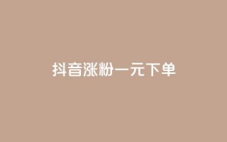 抖音涨粉一元下单 - 低价快手号