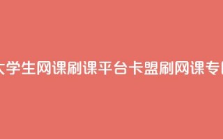 大学生网课刷课平台：卡盟刷网课专区