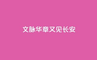 文脉华章｜又见长安