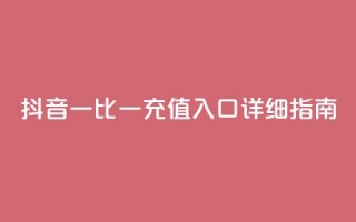 抖音一比一充值入口详细指南